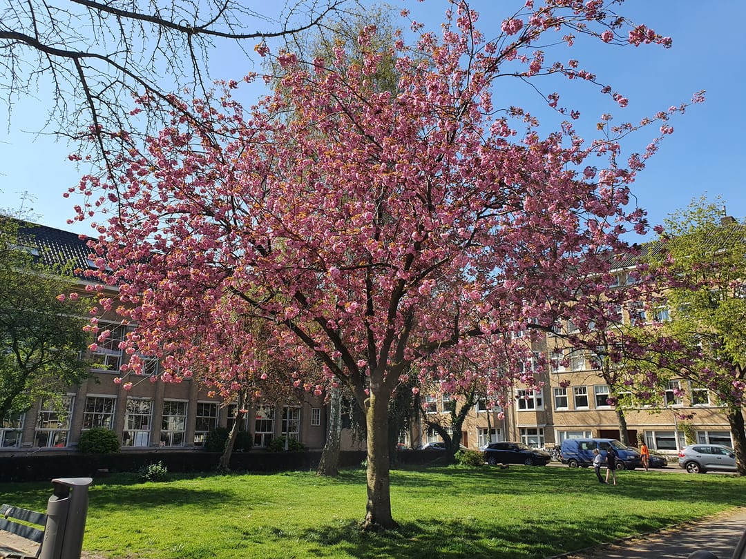Foto 47 van Albrecht Dürerstraat 31-1
