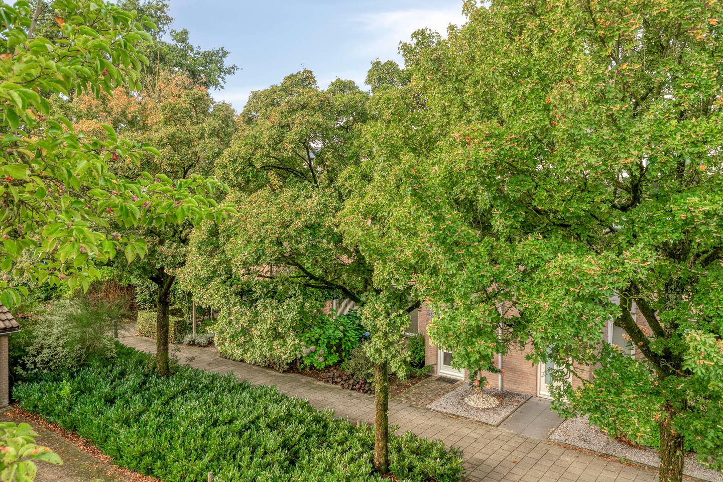 Foto 34 van De Vroente 166