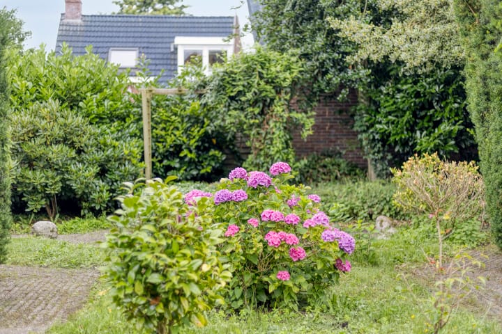 Foto 32 van Noorderstraat 96