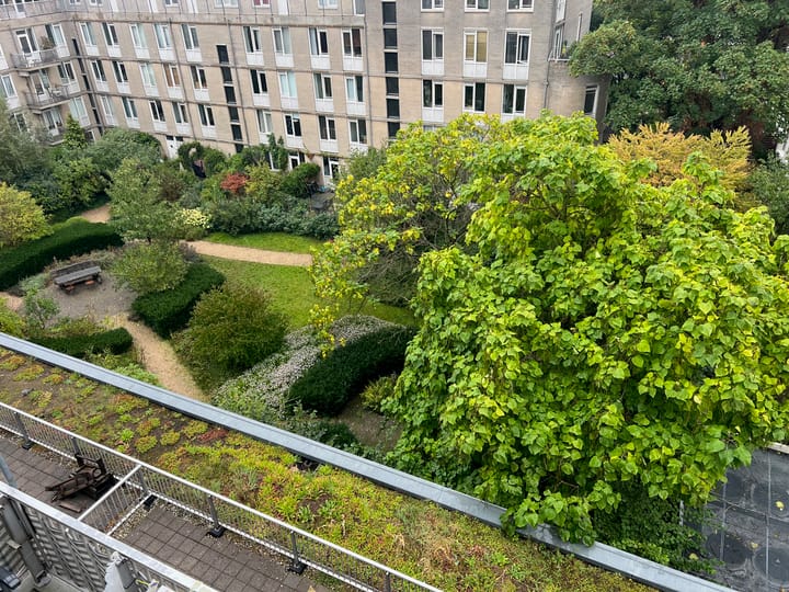 Foto 31 van Kleine Wittenburgerstraat 34