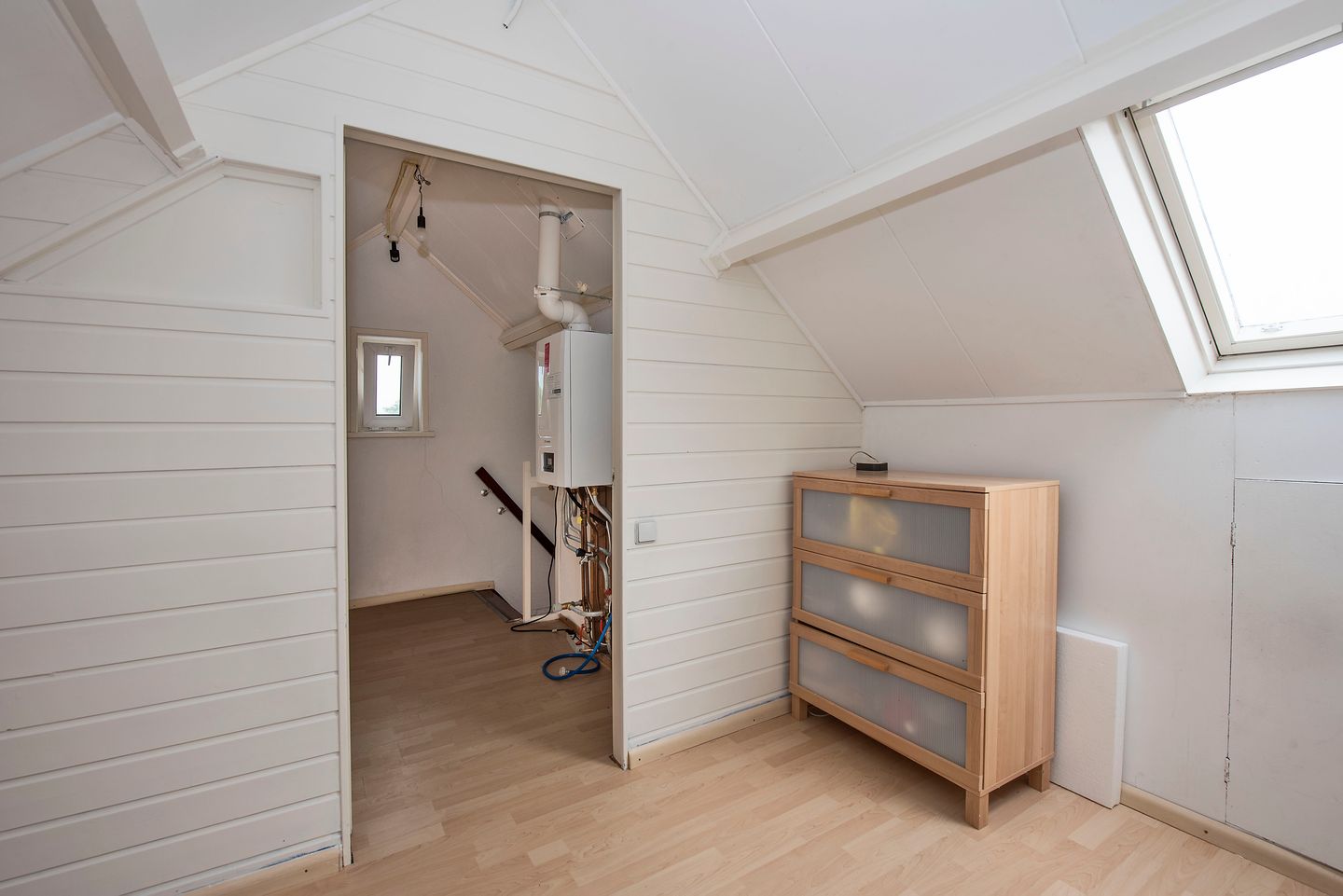 Photo 25 of Kamille 9