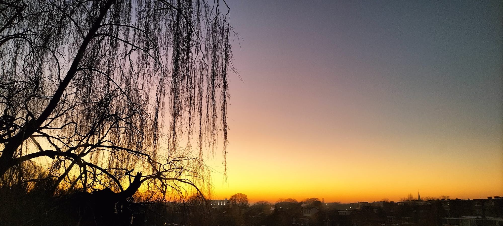 Foto 30 van Sneeuwbalstraat 3