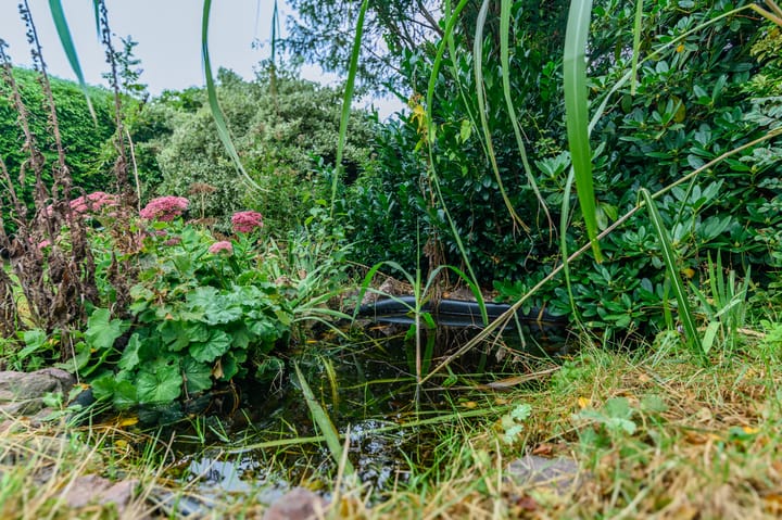 Foto 20 van Spaltenbrêge 7