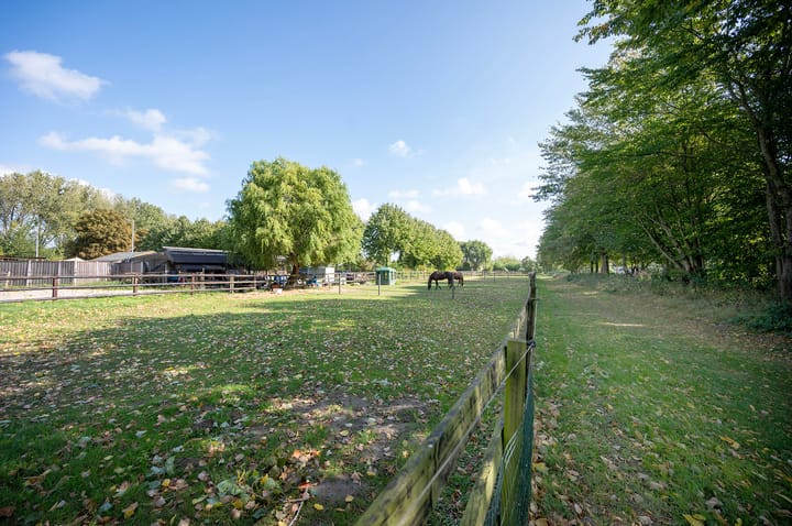 Foto 28 van Nimfkruidstraat 15