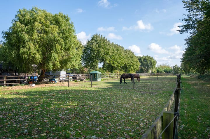 Foto 29 van Nimfkruidstraat 15