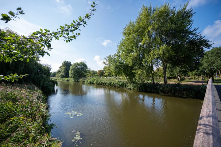 Foto 30 van Nimfkruidstraat 15