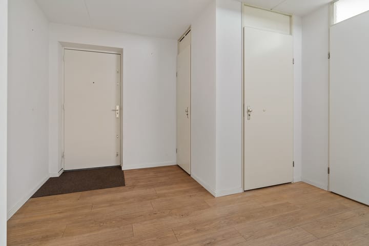 Foto 3 van Zomervlinderberm 64