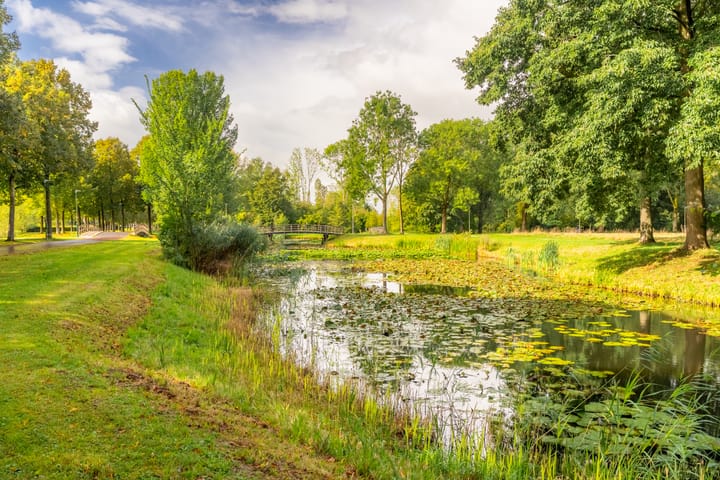 Foto 28 van Zomervlinderberm 64