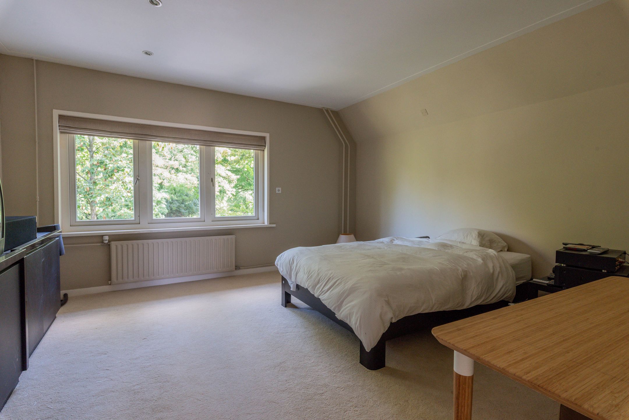 Photo 18 of Groenekanseweg 106