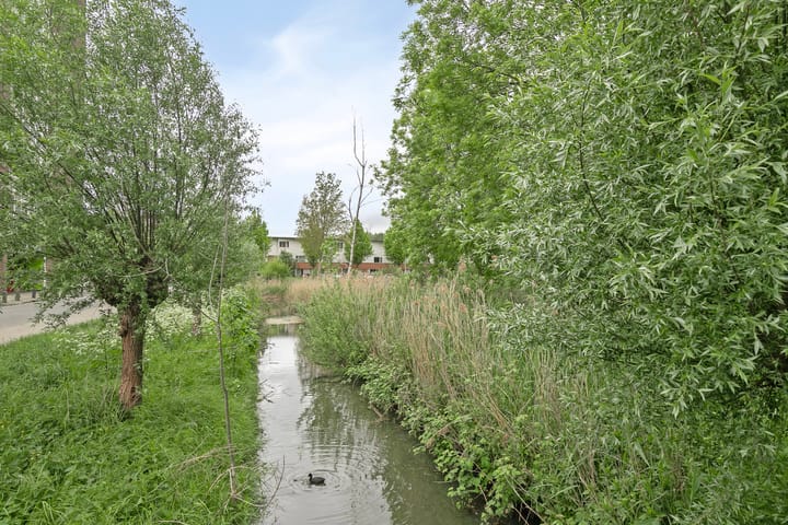 Foto 38 van Tretjakovlaan 54