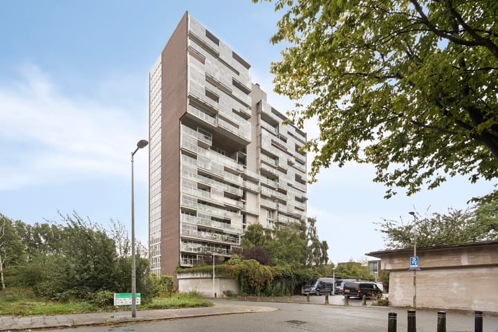 Foto 7 van Tretjakovlaan 54