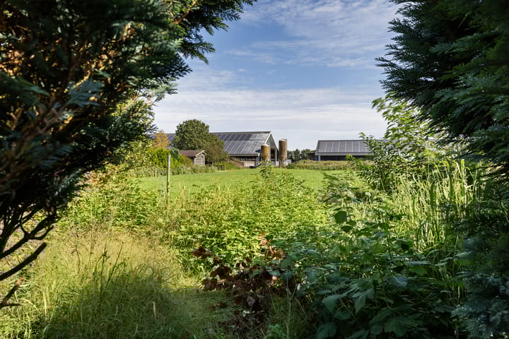 Foto 20 van Nijeberkoperweg 5