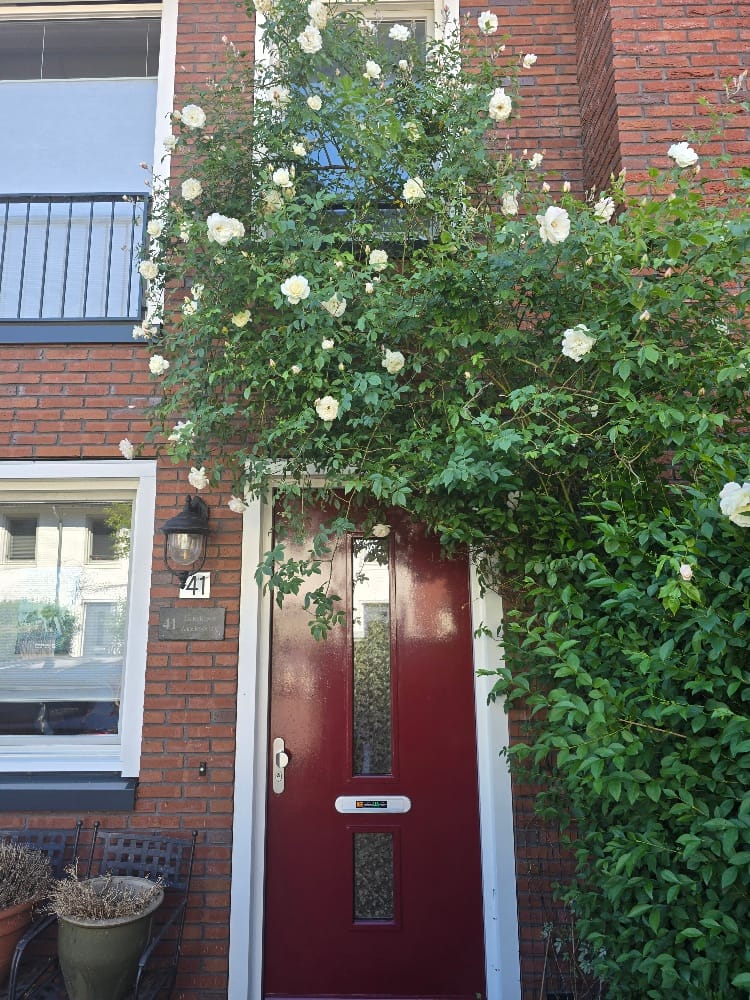 Foto 45 van Vlierhoeve 41
