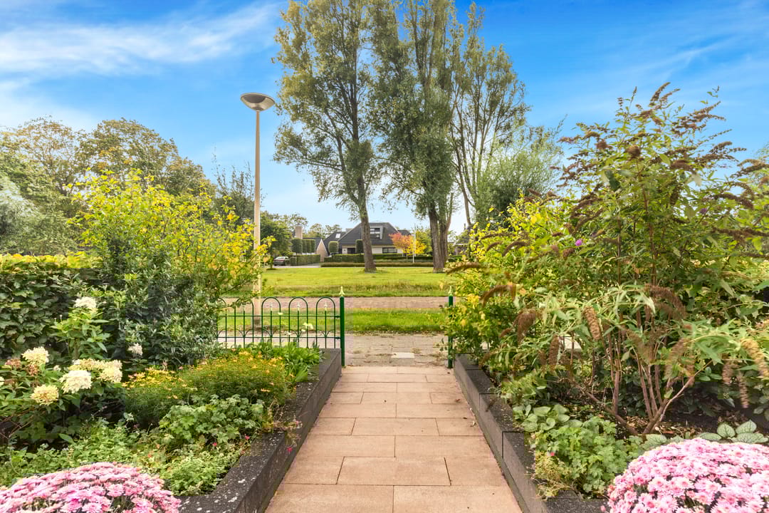 Foto 7 van Tulpenveld 212