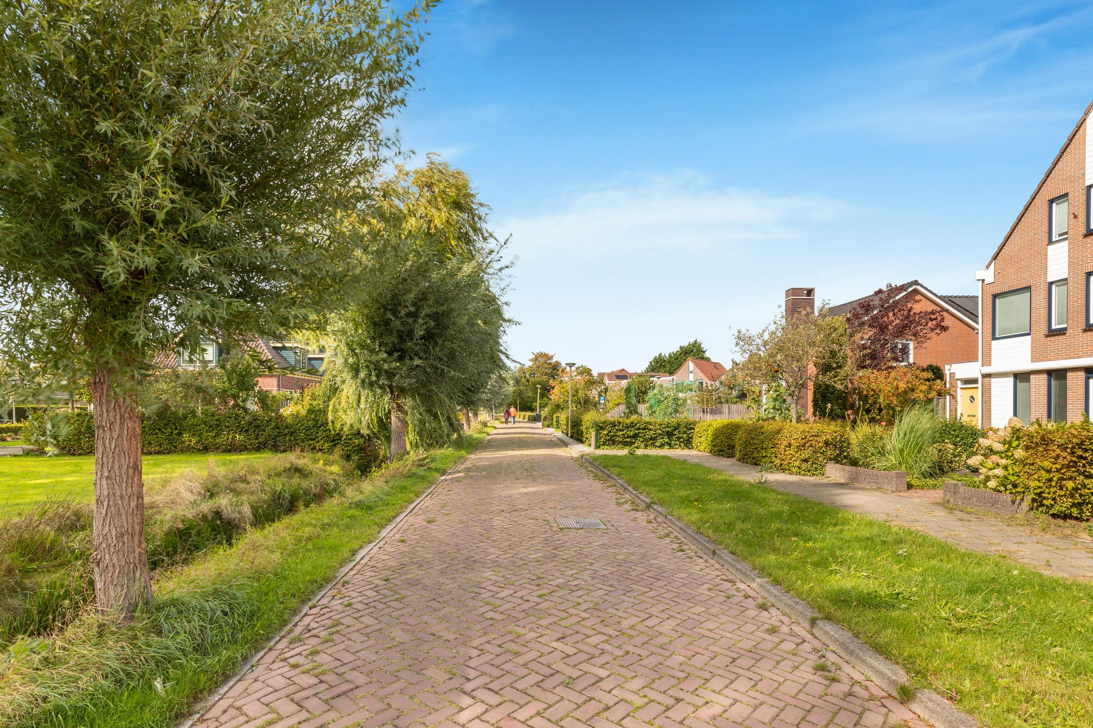 Foto 57 van Tulpenveld 212