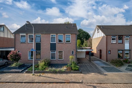 undefined main image