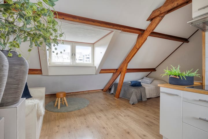 Foto 42 van Biesterweg 14