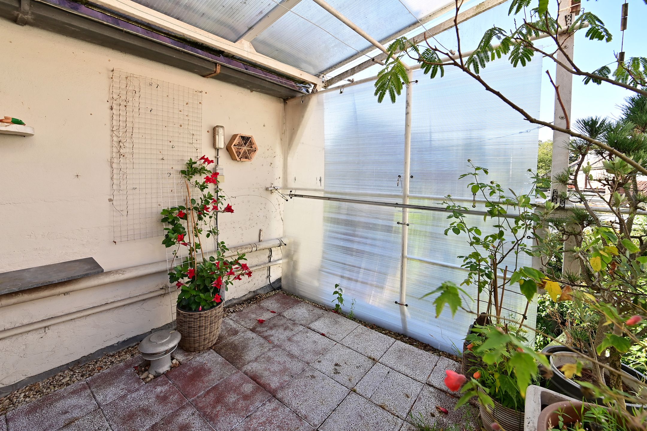 Foto 21 van Peperstraat 4