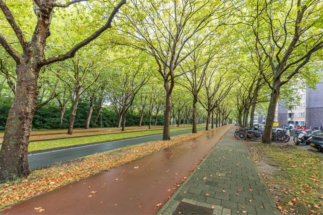 Foto 17 van Van Nijenrodeweg 591