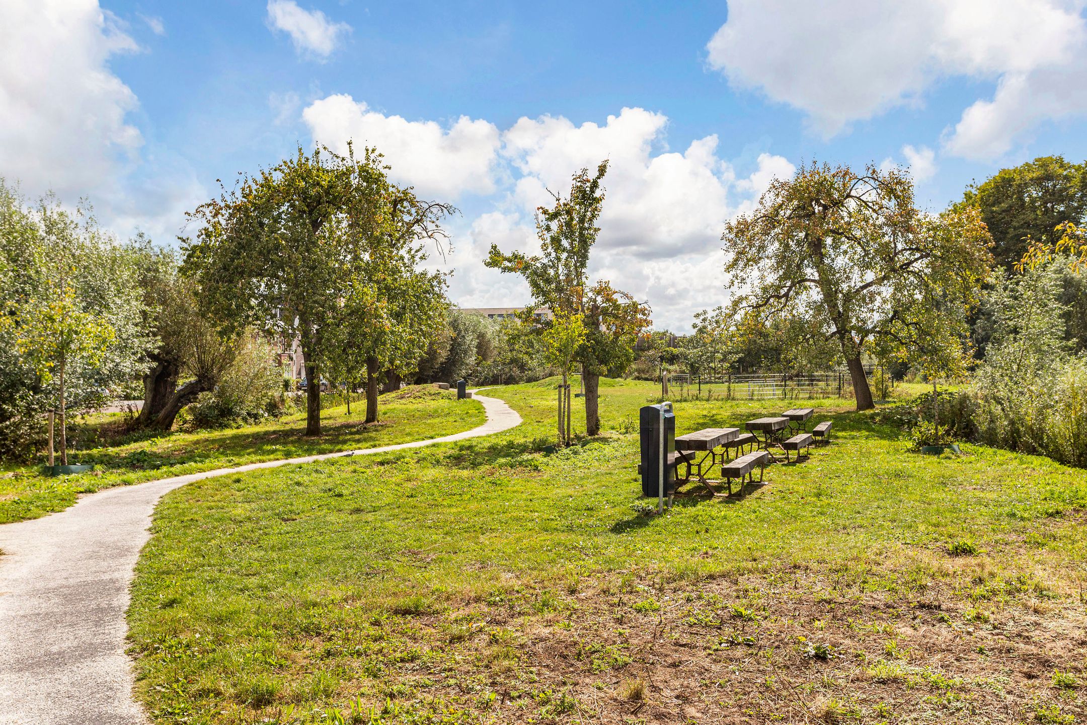 Foto 33 van Zoete viburnumstraat 10