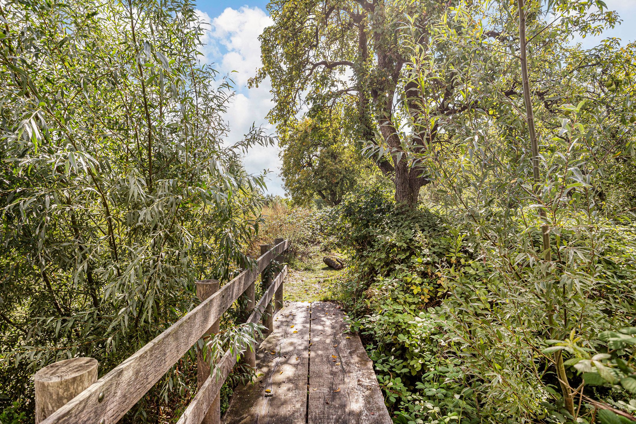 Foto 36 van Zoete viburnumstraat 10