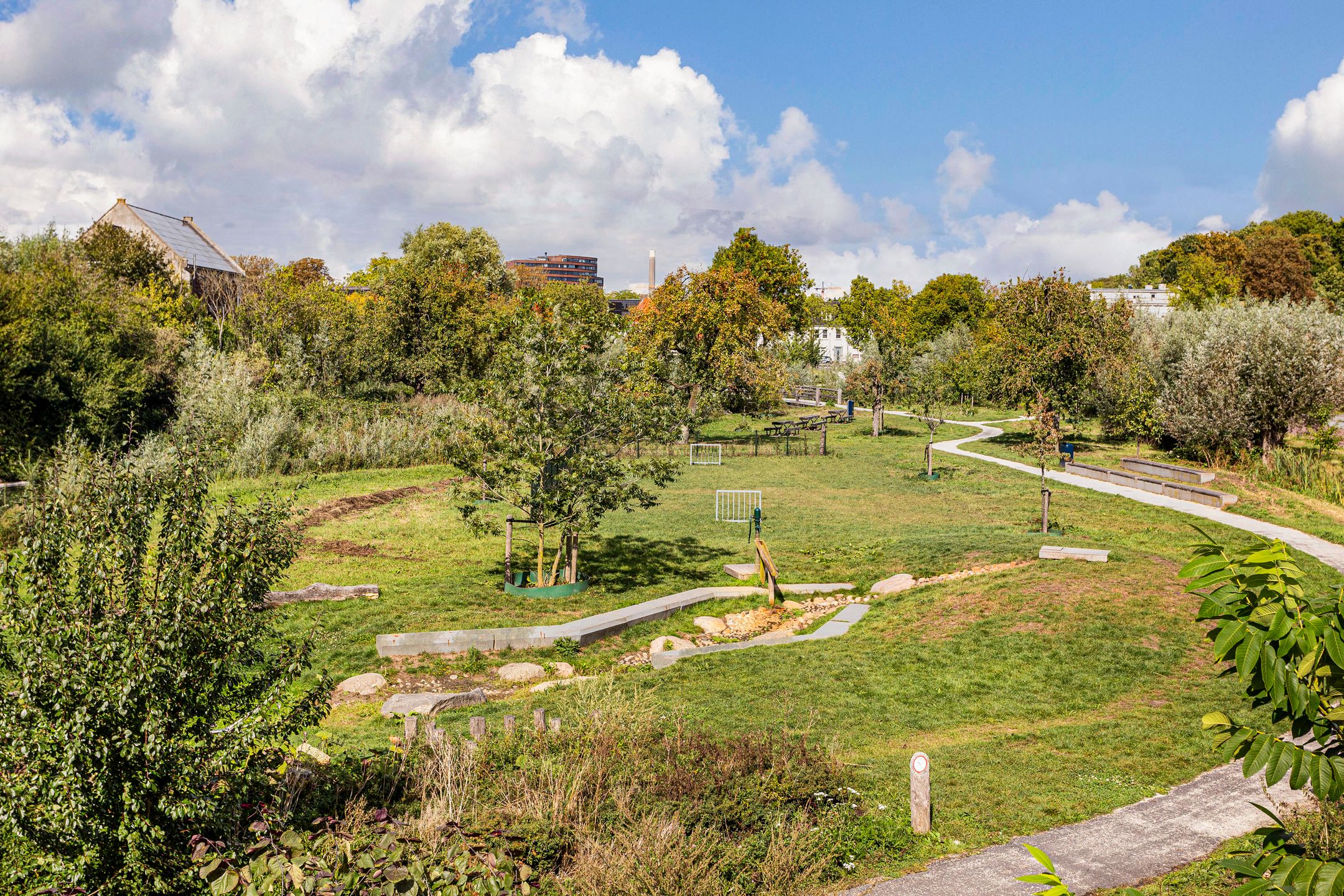 Foto 39 van Zoete viburnumstraat 10