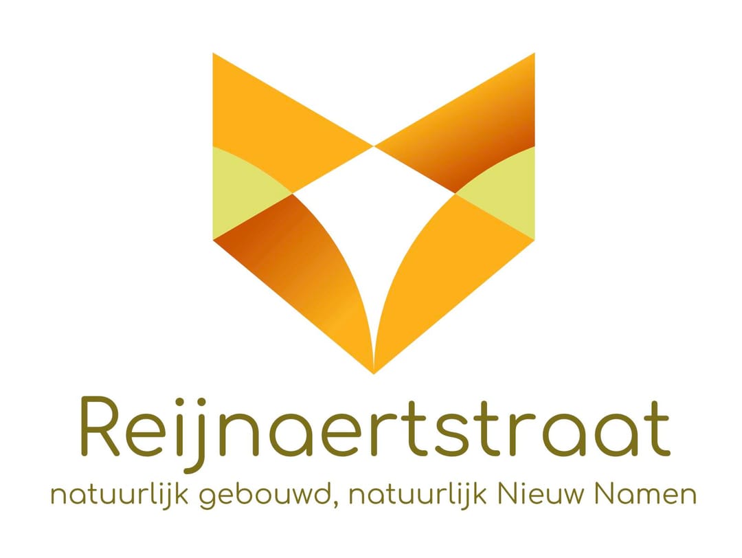 Photo 8 of Reijnaertstraat