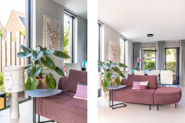 Foto 12 van Waterviolier 36