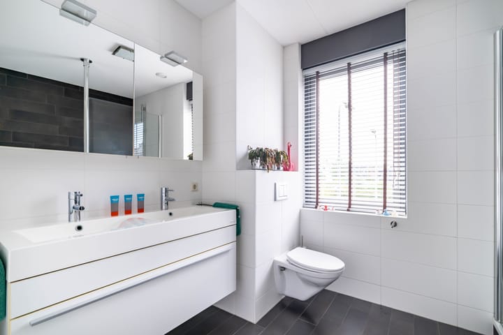 Foto 48 van Waterviolier 36