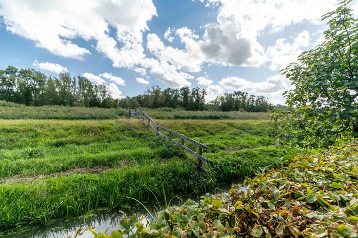 Foto 62 van Waterviolier 36