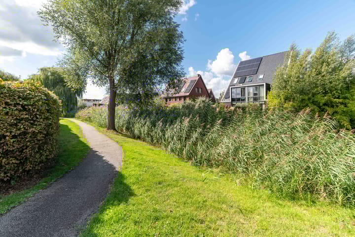 Foto 63 van Waterviolier 36