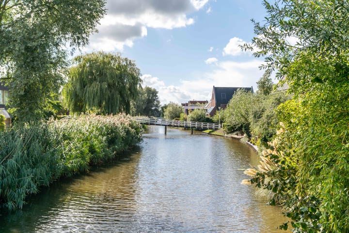 Foto 64 van Waterviolier 36