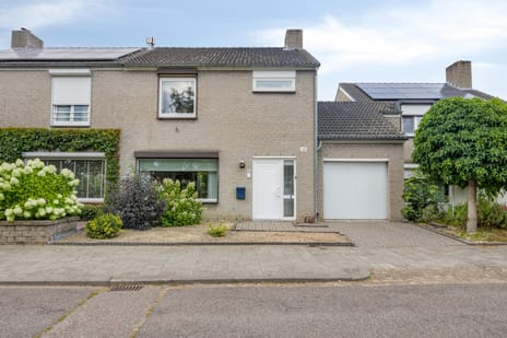 undefined main image