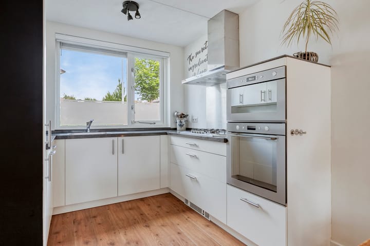 Foto 3 van Goudmos 5