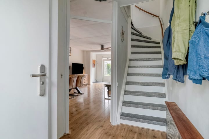 Foto 5 van Goudmos 5