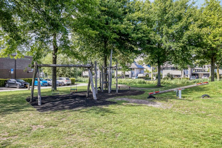 Foto 31 van Goudmos 5