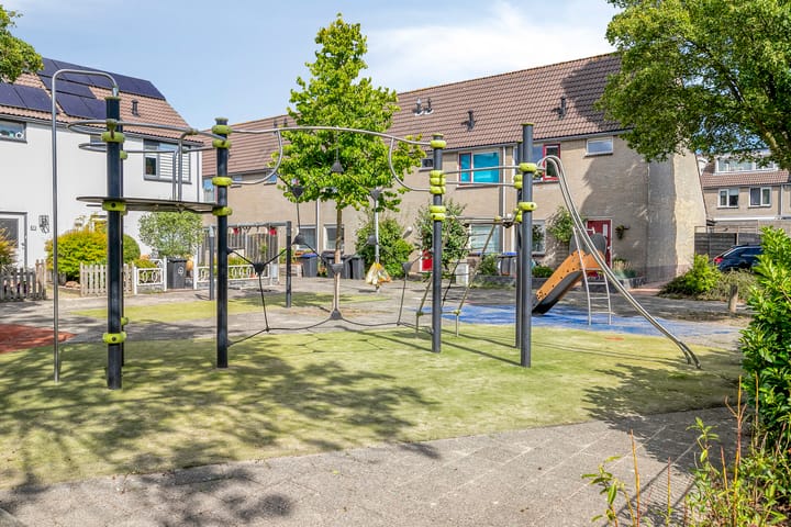 Foto 32 van Goudmos 5