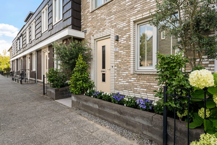 Photo 8 of Hoornsemeer 37