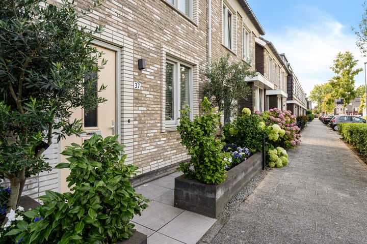 Photo 9 of Hoornsemeer 37