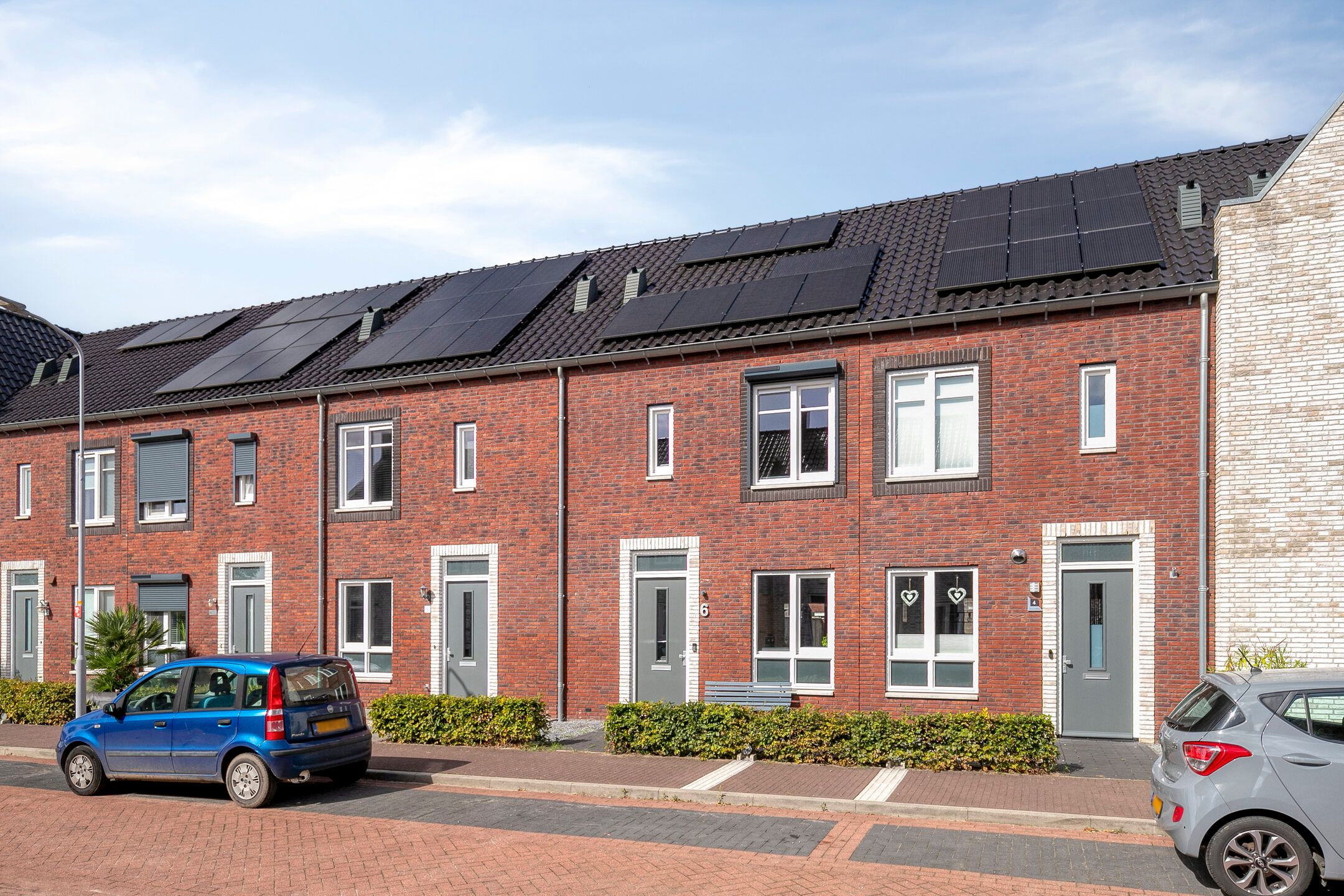 Foto 3 van Graskarper 6