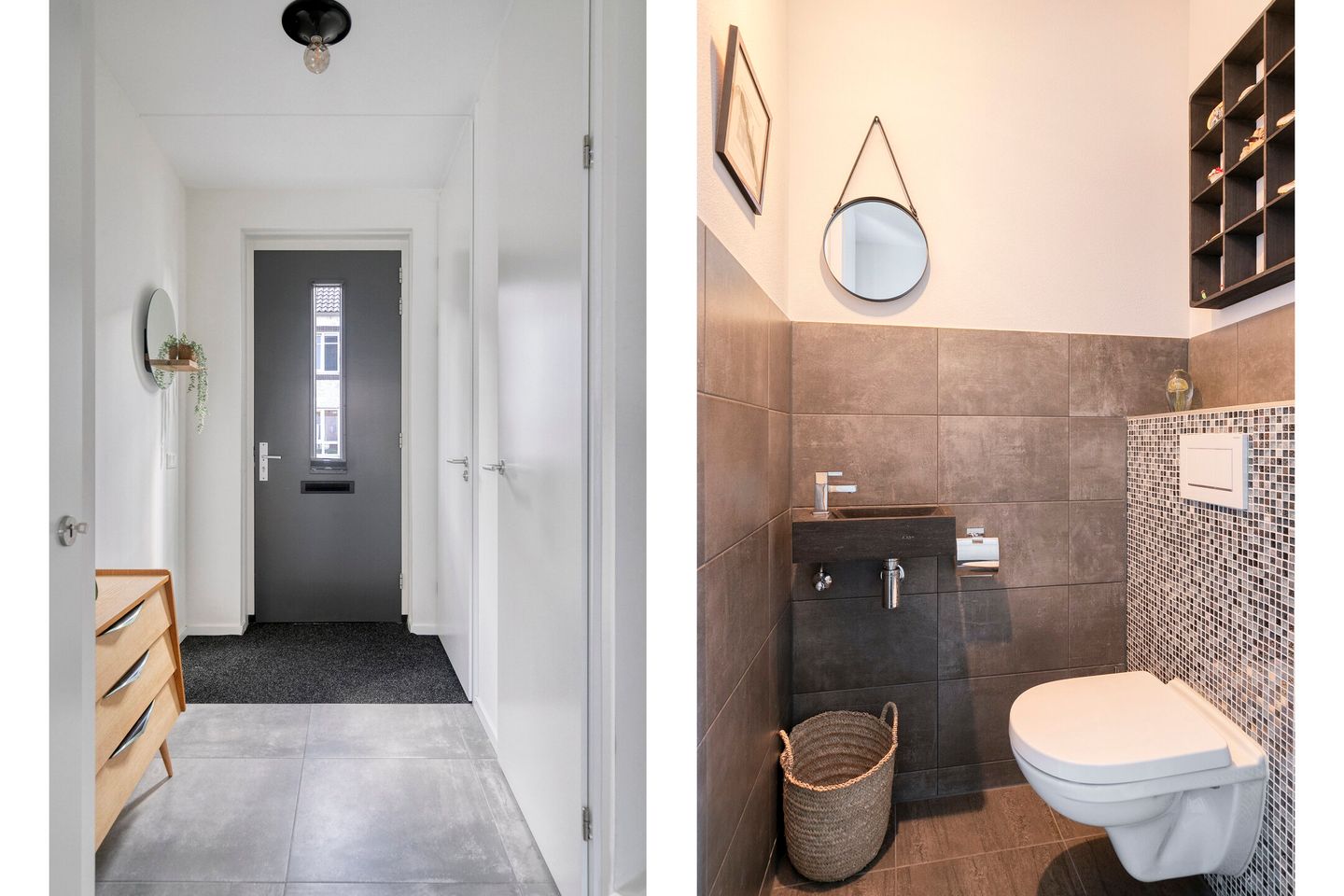 Foto 4 van Graskarper 6