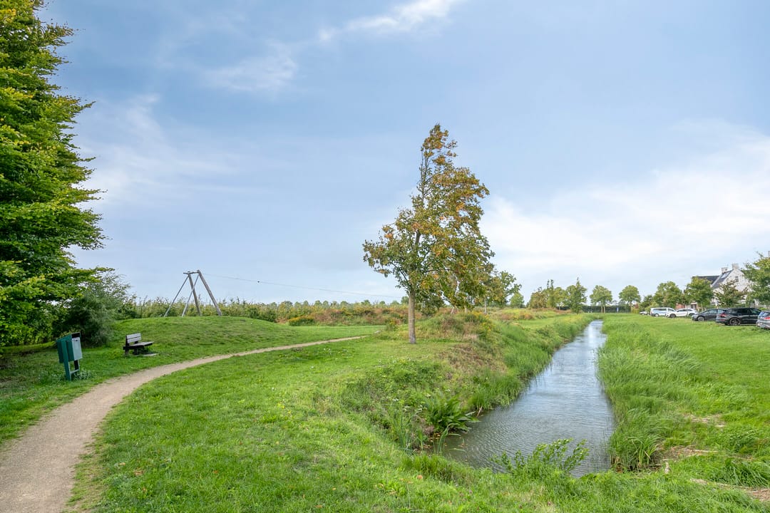 Foto 26 van Graskarper 6