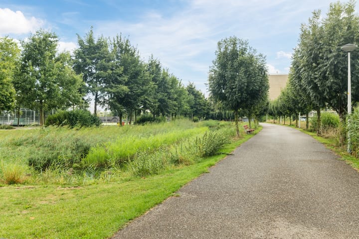 Foto 39 van van Limburg Stirumstraat 26