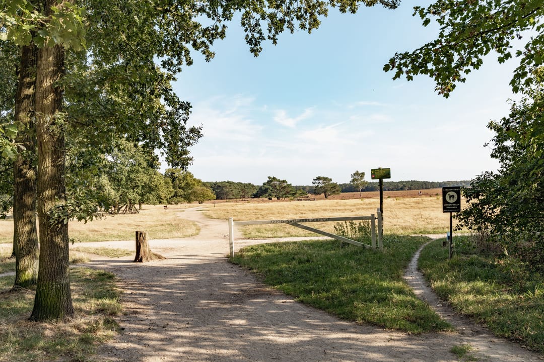 Foto 52 van Hamerstraat 108