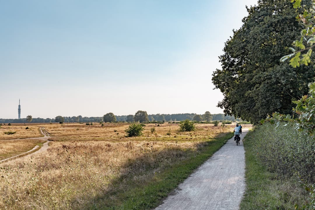 Foto 53 van Hamerstraat 108