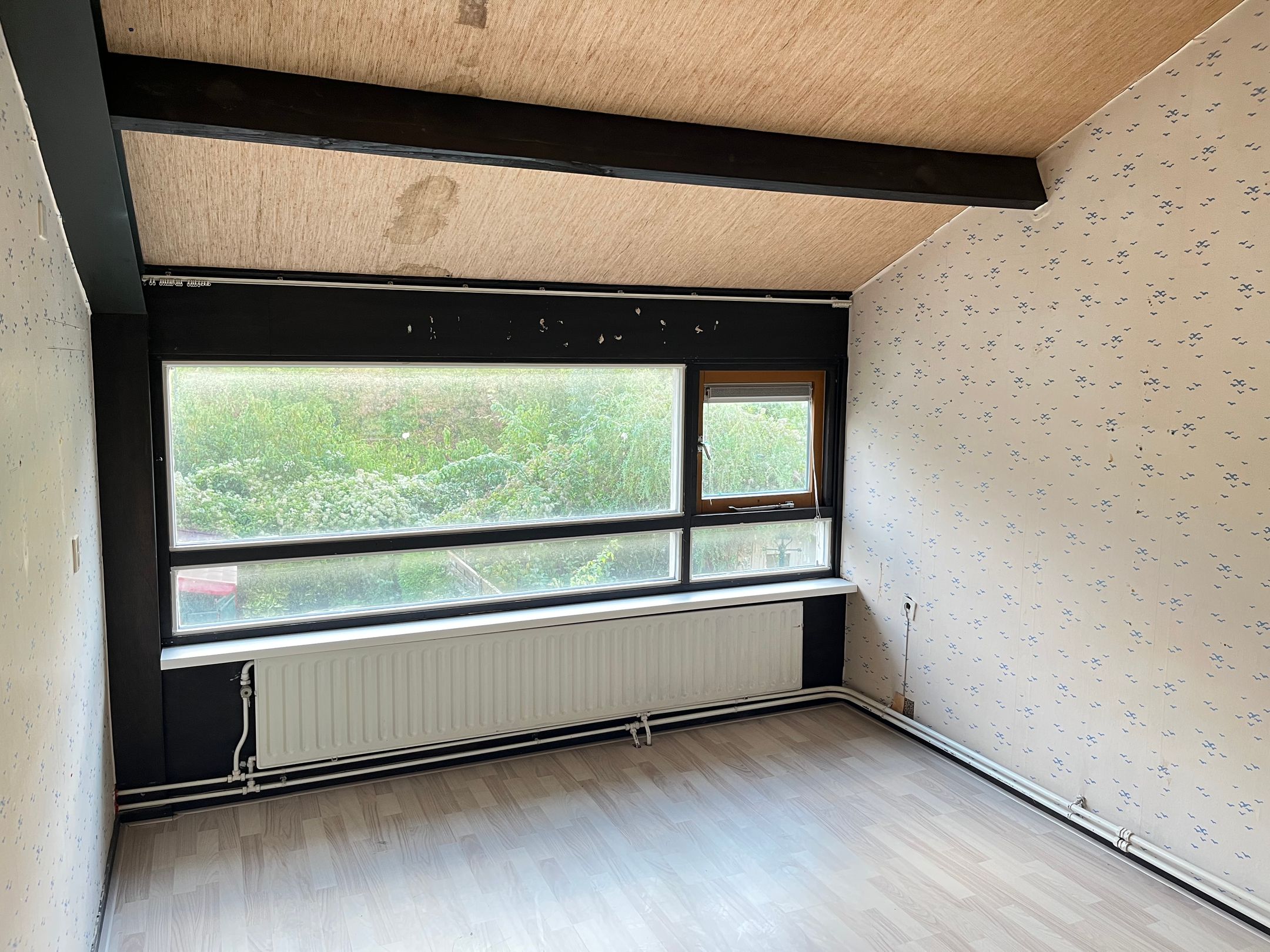 Foto 30 van Kapberg 45