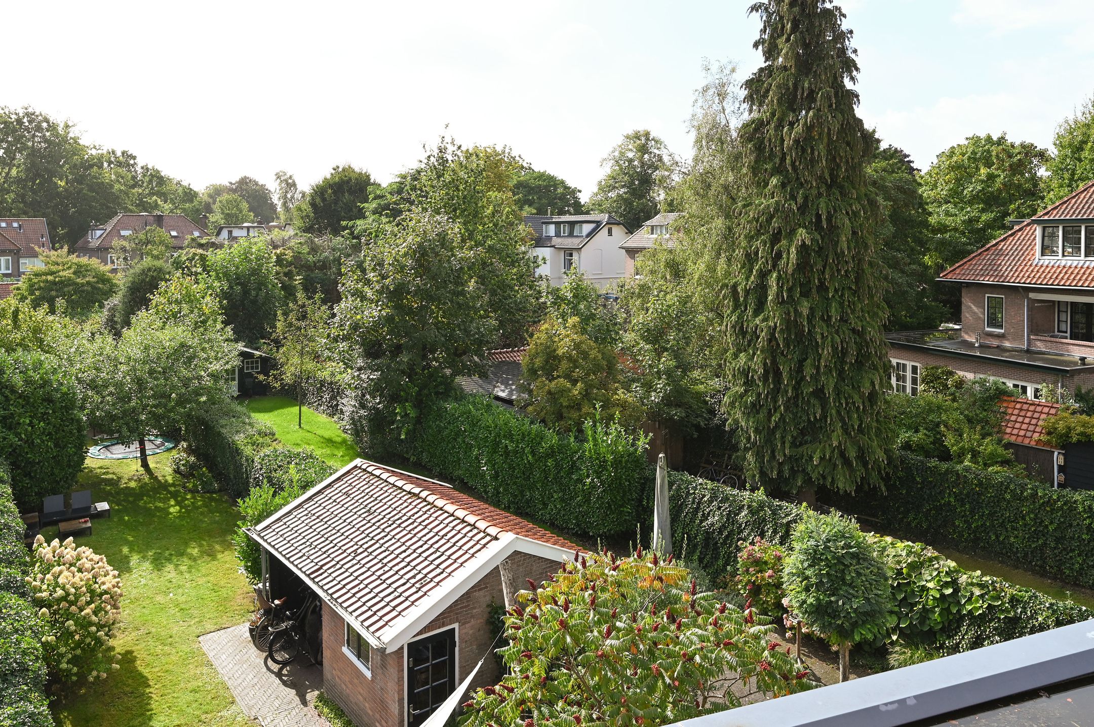 Foto 36 van Zwarteweg 27