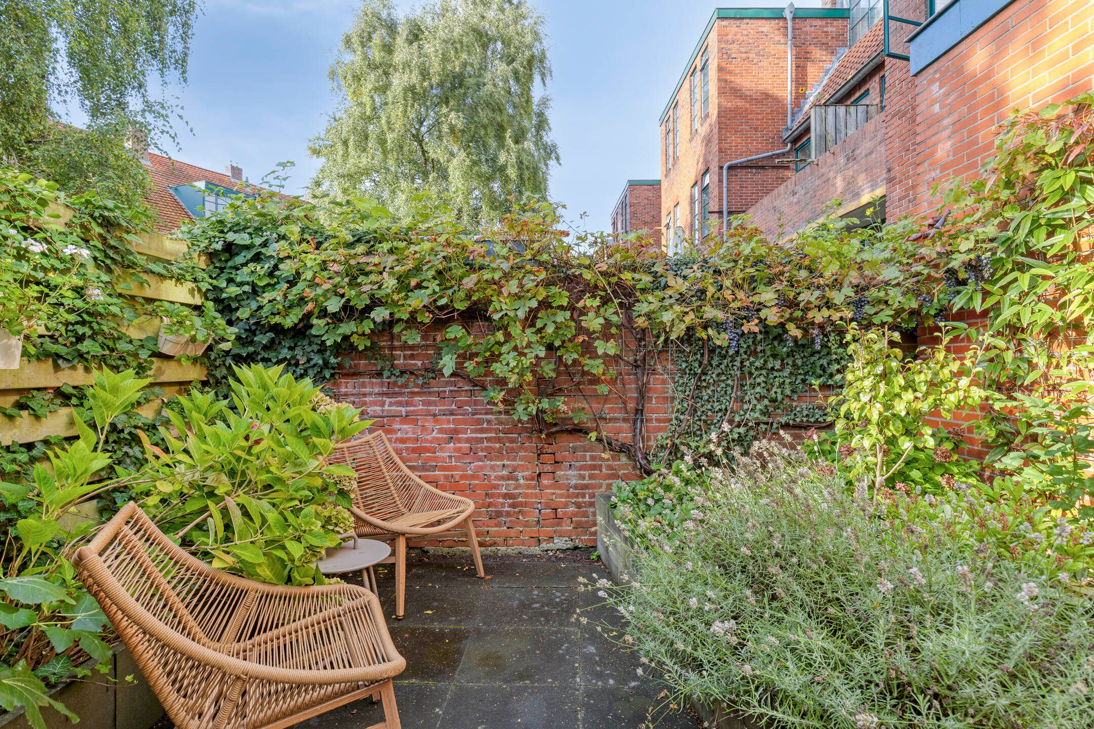 Photo 36 of Stadhouderslaan 9