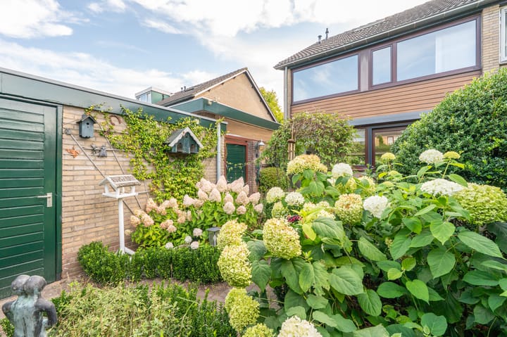 Foto 28 van Meerkoetstraat 13