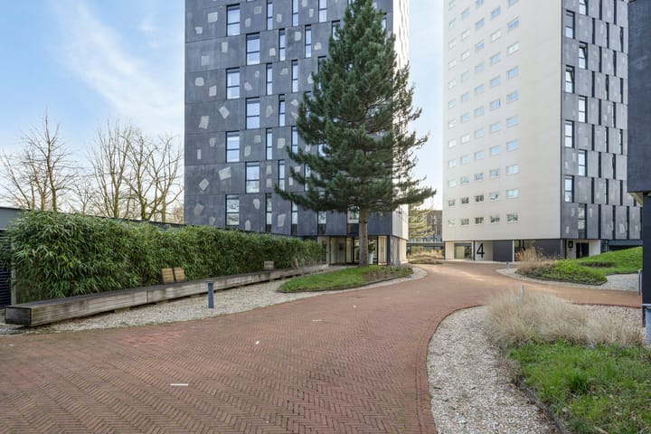 Foto 4 van Nonnenveld 585